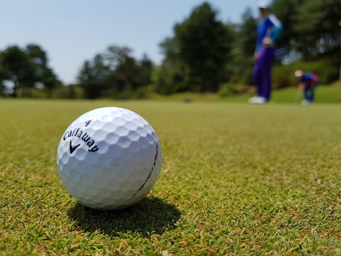 Mastering the Fairway: A Guide to Selecting the Perfect Golf Club